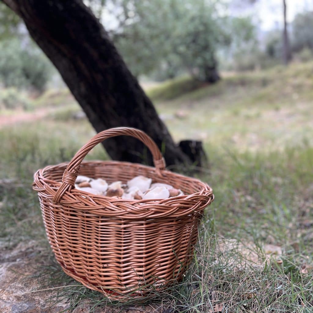 Cesta de mimbre grande con asa para almacenamiento y setas