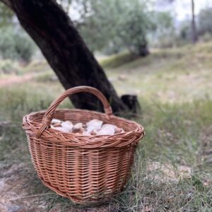 Cesta de mimbre grande con asa para almacenamiento y setas