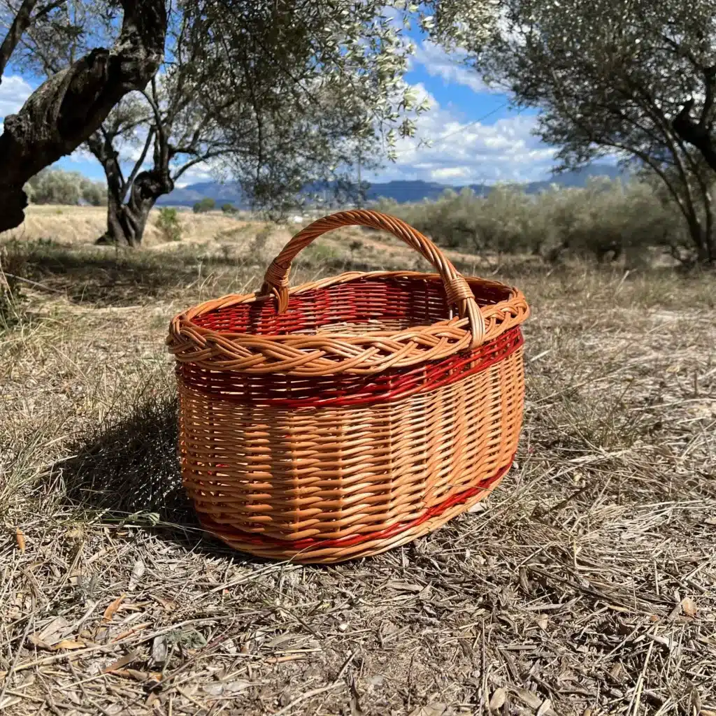 cesta de mimbre para setas