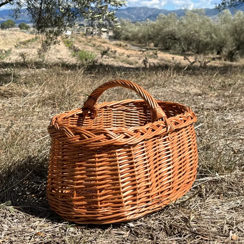 cestas de setas de mimbre