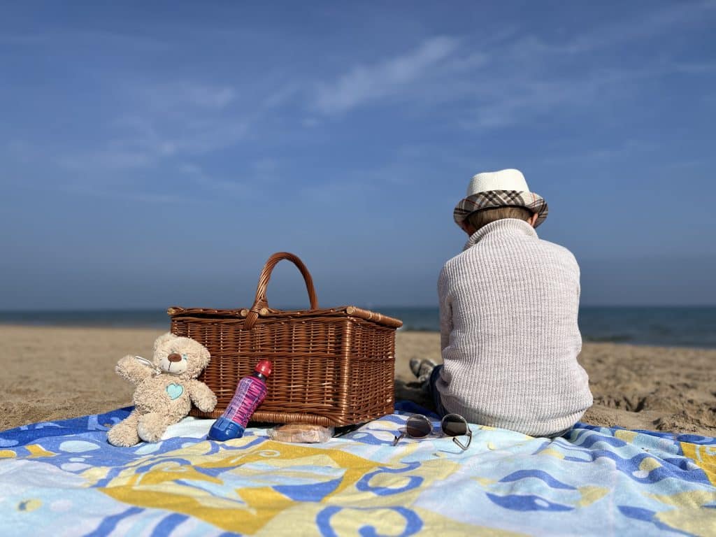 Cesta de mimbre con asa de picnic rectangular con tapas para almacenamiento