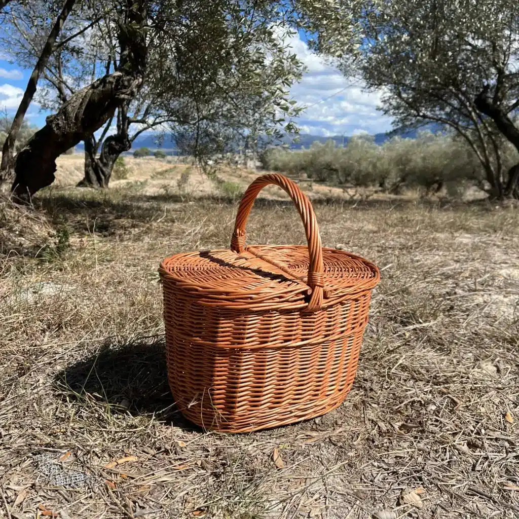 cesta de picnic