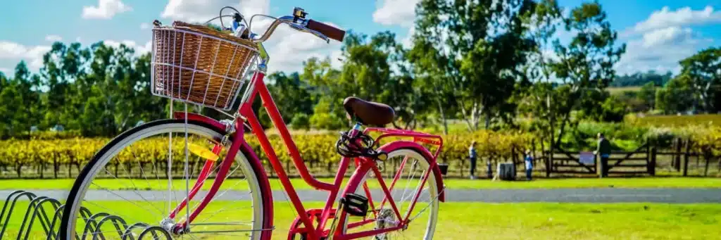 cesta mimbre bici