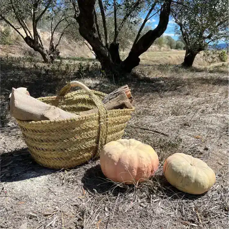 Cesta de esparto