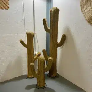 Cactus de Esparto