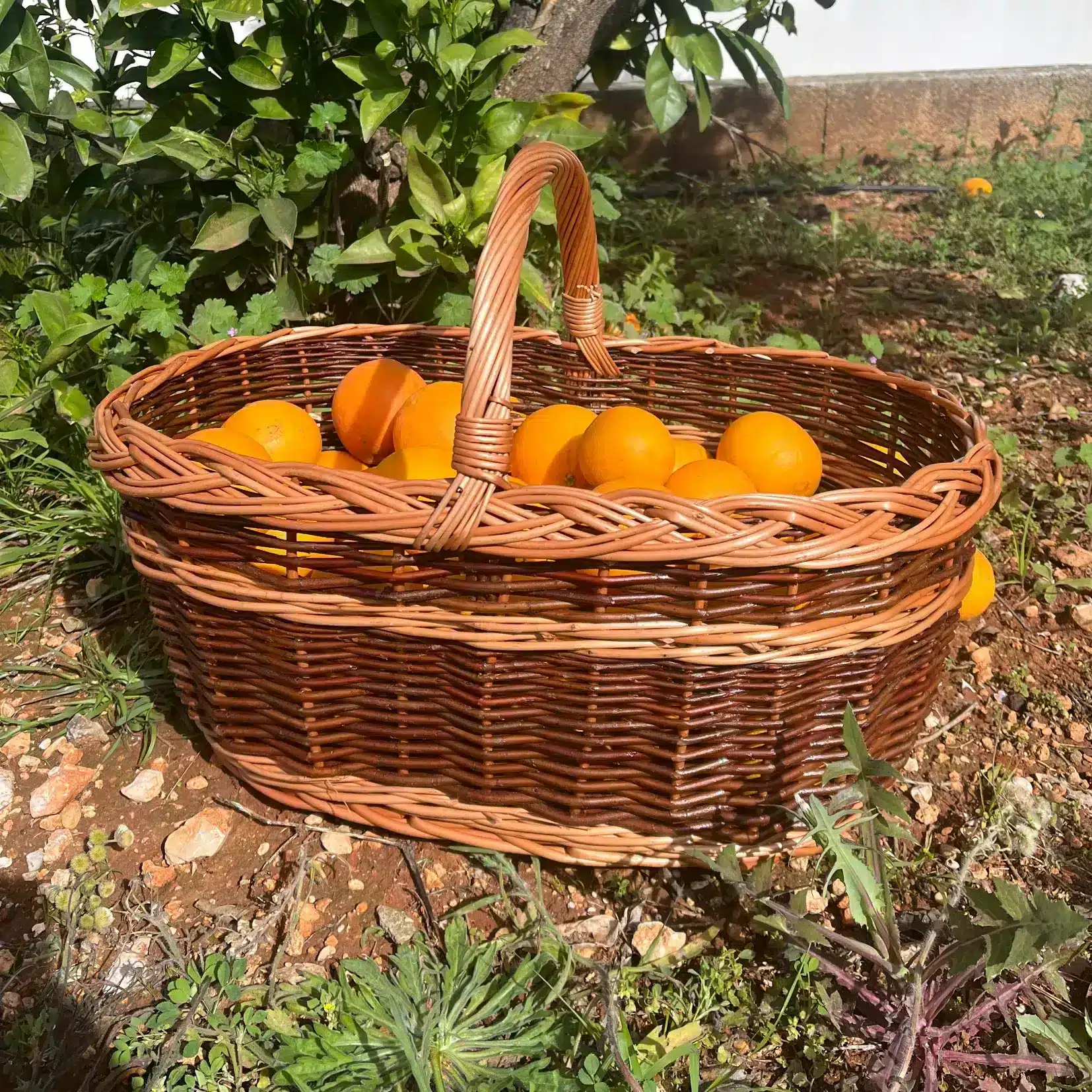 Cesta grande de Mimbre