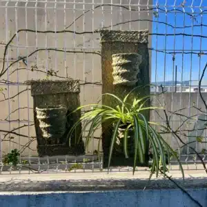 maceta colgante en vertical