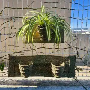 maceta colgante en horizontal